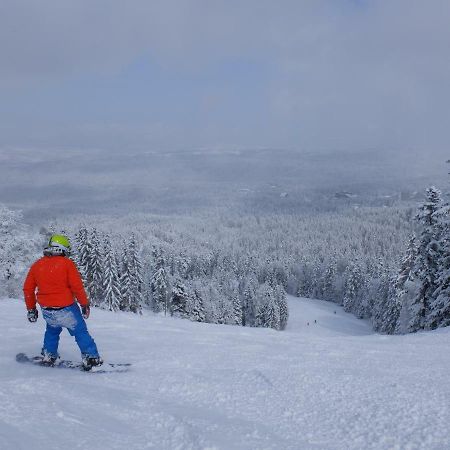 Borovets Apartment, Villa Park Εξωτερικό φωτογραφία