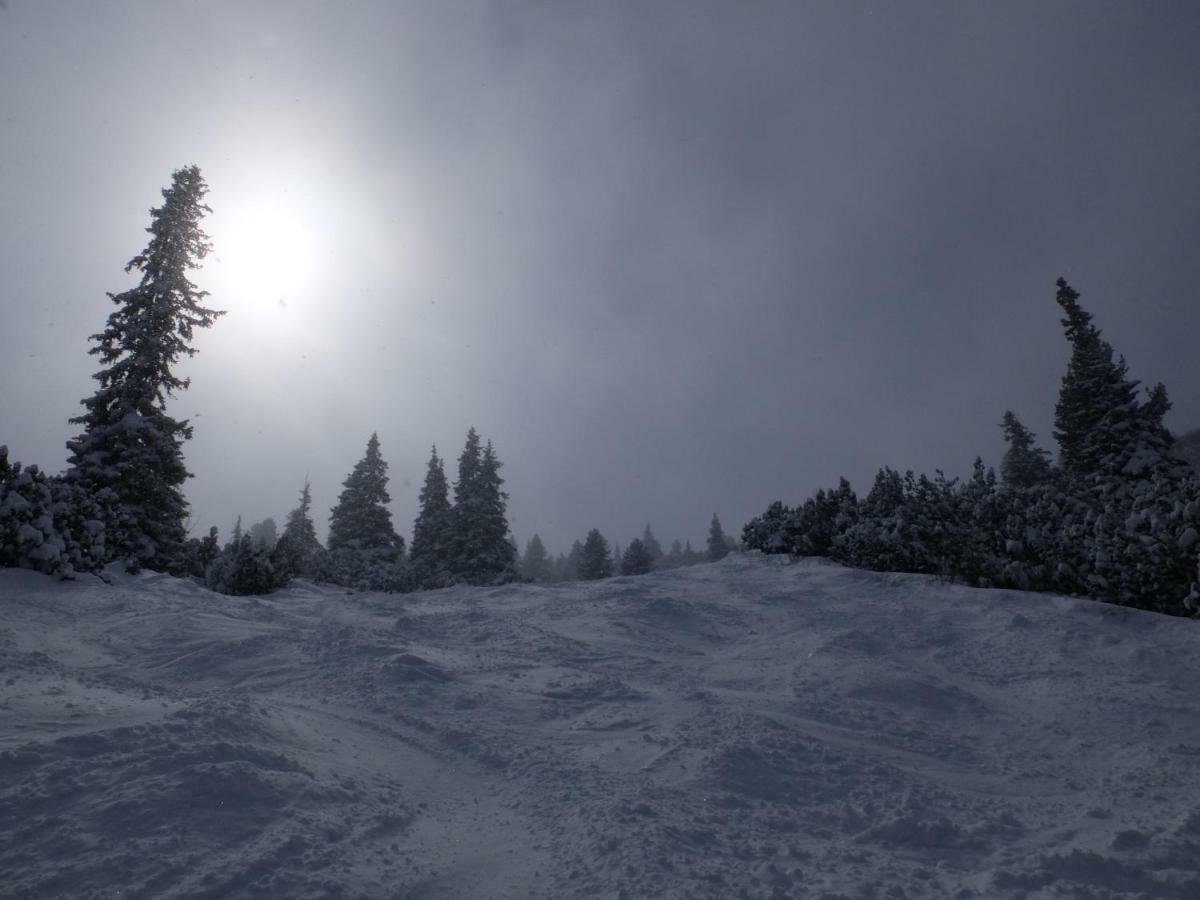 Borovets Apartment, Villa Park Εξωτερικό φωτογραφία