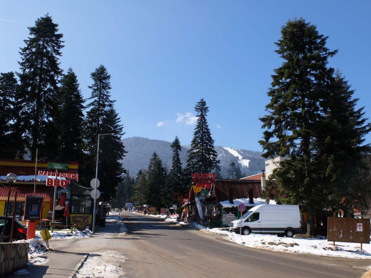 Borovets Apartment, Villa Park Εξωτερικό φωτογραφία
